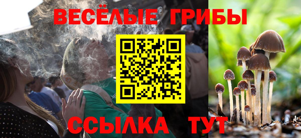 купить закладку  Вход с VPN  Кировск  Галлюциногенные грибы Psilocybe  Галлюциногенные грибы GOLDEN TEACHER 