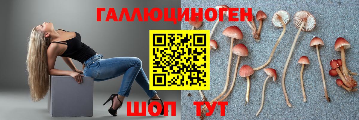Псилоцибиновые грибы прущие грибы Кировск